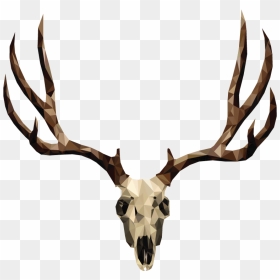 Mule Deer Skull Drawing - Deer Antler, HD Png Download - deer skull png