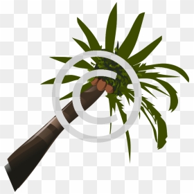 Palm Tree Clip Art, HD Png Download - coconut tree png