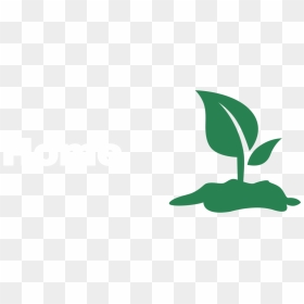 Thriving With Fire, HD Png Download - green fire png