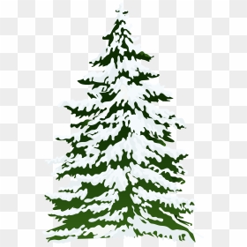 Winter Snowy Pine Tree Png Clipart Image - Snow Clip Art Pine Tree, Transparent Png - winter tree png