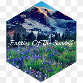 Mountains Mount Rainier Hills Grass Glacier Slope Meadow - Bluebonnet, HD Png Download - hills png