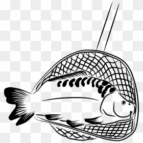 Black And White Carp, HD Png Download - fishing net png