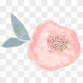 Water Lily, HD Png Download - pink flower crown png