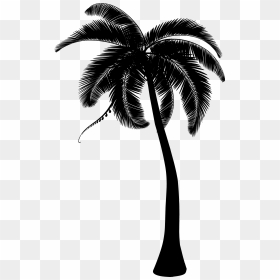 Palm Trees Coconut Clip Art Portable Network Graphics - Palm Tree Clipart Line, HD Png Download - coconut tree png