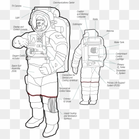 Transparent Emu Clipart - Illustration, HD Png Download - space suit png