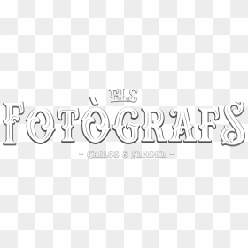 Fotógrafos De Viladecans - Calligraphy, HD Png Download - destellos de luz png