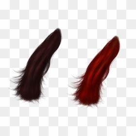 Portable Network Graphics, HD Png Download - red hair png