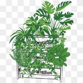 Illustration, HD Png Download - jungle plants png