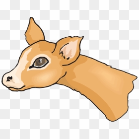 รูป สัตว์ ป่า แบบ เ, HD Png Download - deer skull png