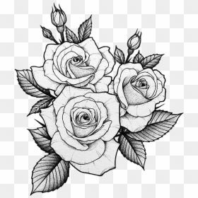 #tumblr #tatto #roses - Roses Tattoo Design, HD Png Download - tatto png