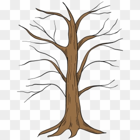 Winter Tree Clipart - Illustration, HD Png Download - winter tree png