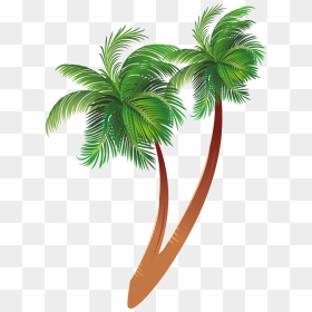 Free Download Cartoon Palm Tree Clipart Coconut Palm - Transparent Background Palm Tree Clipart, HD Png Download - coconut tree png