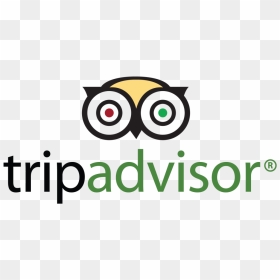 Tripadvisor Large Logo - Logo Trip Advisor Png, Transparent Png - tripadvisor logo png