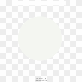 Circle, HD Png Download - white paint png