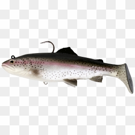 Brown Trout Rainbow Trout 3d Modeling Fishing - Savage Gear Rattle Shad, HD Png Download - trout png