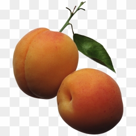 Peaches - Apricots Clipart, HD Png Download - peaches png
