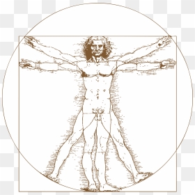Da Vinci Png Hd - Leonardo Da Vinci The Vitruvian Man, Transparent Png - tatto png