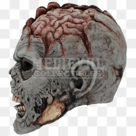 Skull Brain Mask Head Grey Matter - Zombie Head Png, Transparent Png - deer skull png
