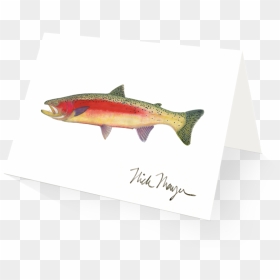 New Zealand Rainbow Trout - Trout, HD Png Download - trout png