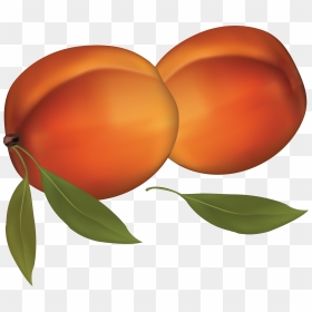 Peaches - Peaches Clipart Transparent Background, HD Png Download - peaches png