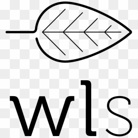 White Oval Png, Transparent Png - white oval png