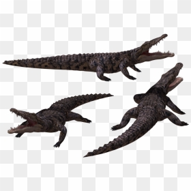 Crocodile Clipart Black And White Png, Transparent Png - wolverine claws png