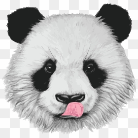 Www - Bamboolovers - Com - Realistic Baby Panda Drawings - Sketch Of Panda Face, HD Png Download - panda face png