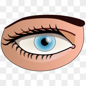 Eye Clipart - Part Of Body Eye, HD Png Download - eye clipart png