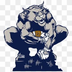 Bobcat Football - Wildcat, HD Png Download - bobcat png