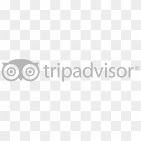 Tripadvisor Logo White Png, Transparent Png - tripadvisor logo png