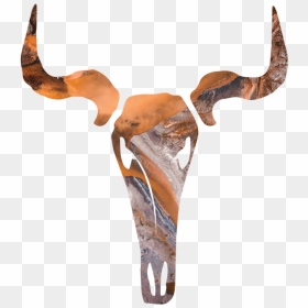 Skull - Deer, HD Png Download - deer skull png