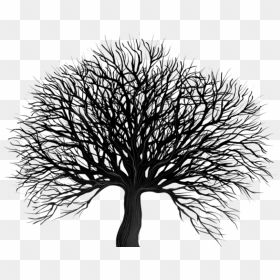 Free Png Download Black Tree Png Png Images Background - Clipart Black Tree, Transparent Png - winter tree png