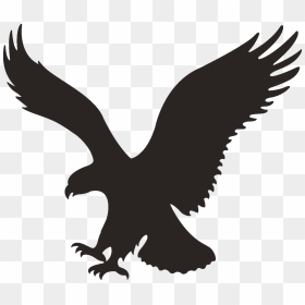 Ae Logo [american Eagle Outfitters Logo] Png - American Eagle Outfitters Logo Png, Transparent Png - eagle logo png