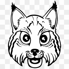 Clip Art, HD Png Download - bobcat png