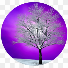 Winter Tree Png, Transparent Png - winter tree png