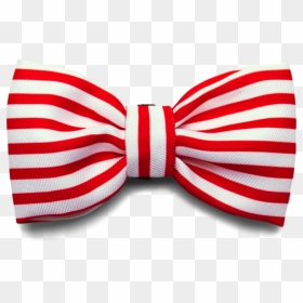 Bali The Dog Zeedog Cadillac Bow Tie For Those James - Bow Tie, HD Png Download - red tie png