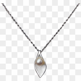 Luo Linglong S925 Silver Jewelry Pearl Tree Necklace - Necklace, HD Png Download - black chain png