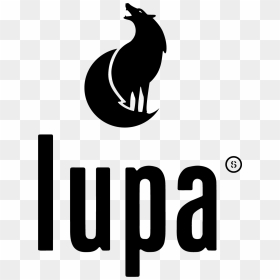 Logo Uni Europa, HD Png Download - lupa png