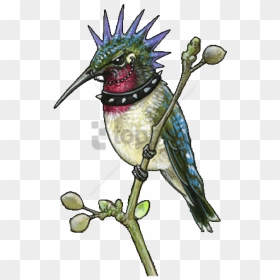 Free Png Sleeve Tattoo Png Image With Transparent Background - Punk Hummingbird, Png Download - sleeve tattoo png
