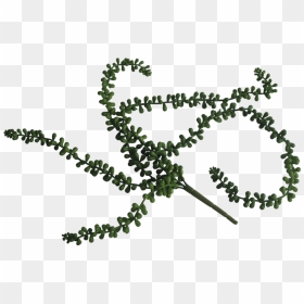 Transparent String Of Pearls Clipart, HD Png Download - string of pearls png