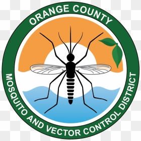 Ocmvcd On Twitter From - Orange County Vector Control, HD Png Download - flea png