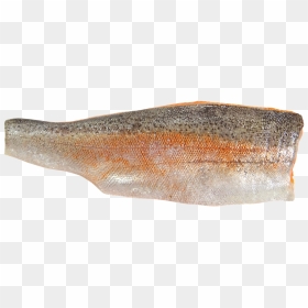 Fish Fillet, HD Png Download - trout png