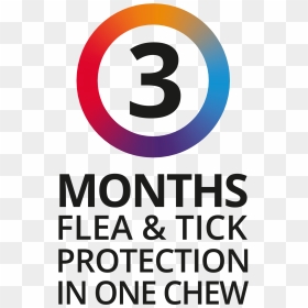 Bravecto 3 Months Flea & Tick Protection - Poster, HD Png Download - flea png