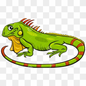 Image Royalty Free Library Green Lizard Free On Dumielauxepices - Iguana Cartoon Png, Transparent Png - iguana png