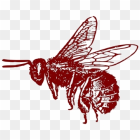 Honey Bee Png Icons - Bee Clip Art, Transparent Png - honey bee png