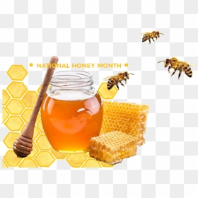 Honeycomb Nationalhoneymonth Honey Bee - Honey Beeswax, HD Png Download - honey bee png
