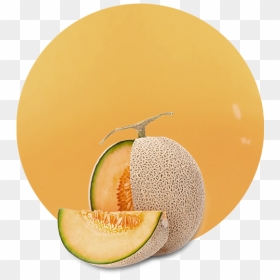 Honeydew, HD Png Download - cantaloupe png
