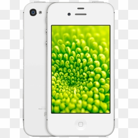 Iphone 8 Plus Refurbished Nz, HD Png Download - white iphone png