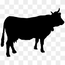 Holstein Friesian Cattle Silhouette - Free Cow Silhouette Vector, HD Png Download - cow head png