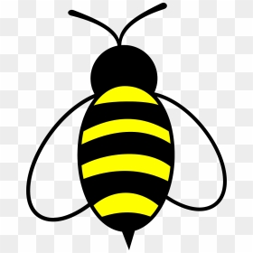 Honey Bee Clipart Png - Wisata Bukit Sekipan Tawangmangu, Transparent Png - honey bee png